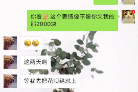 濠江濠江讨债公司服务